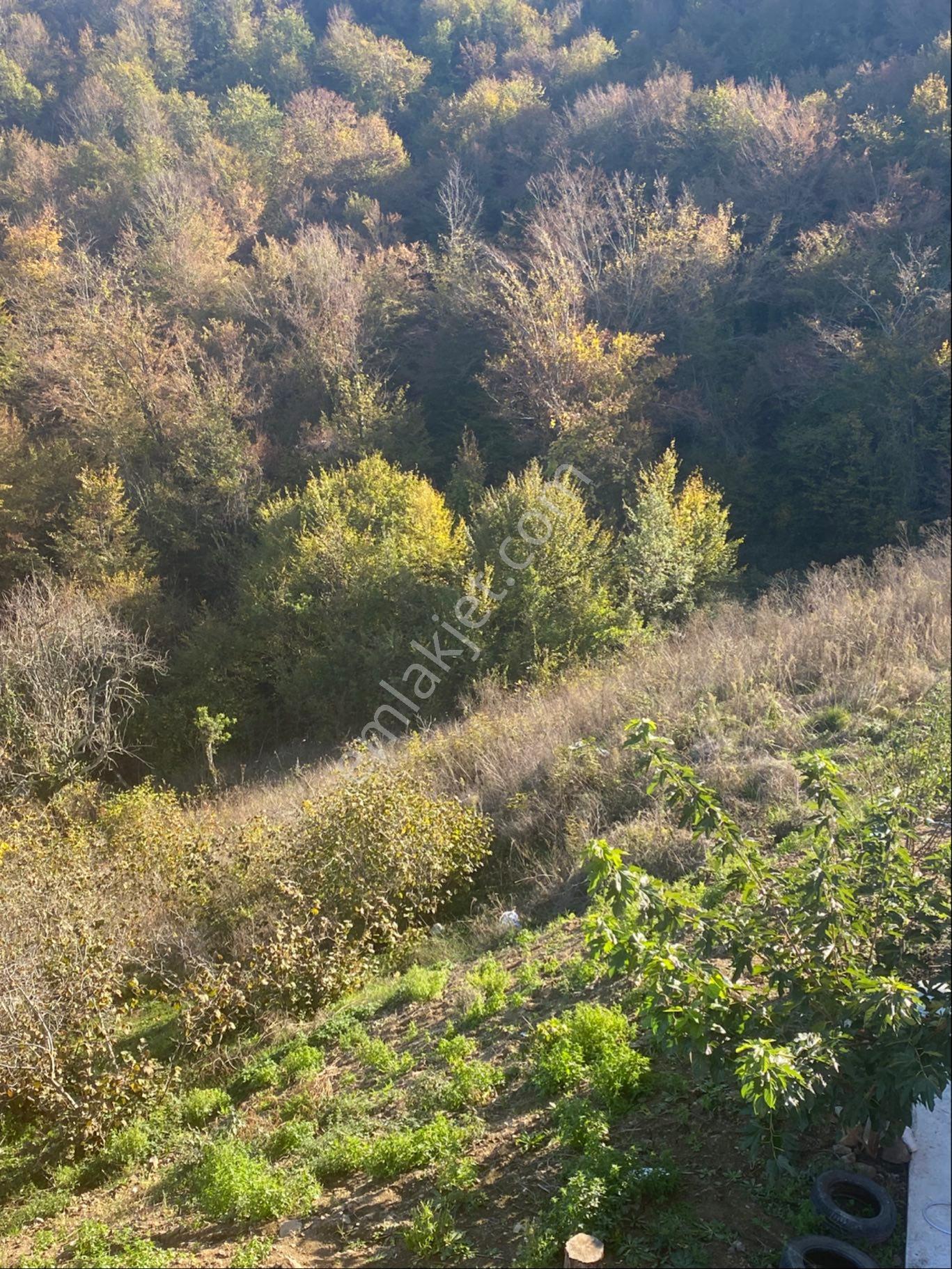 Mavi Atlas’tan Samsun 19 Mayıs Kertme’de Satılık Deniz Manzaralı Arsa - Görsel 11