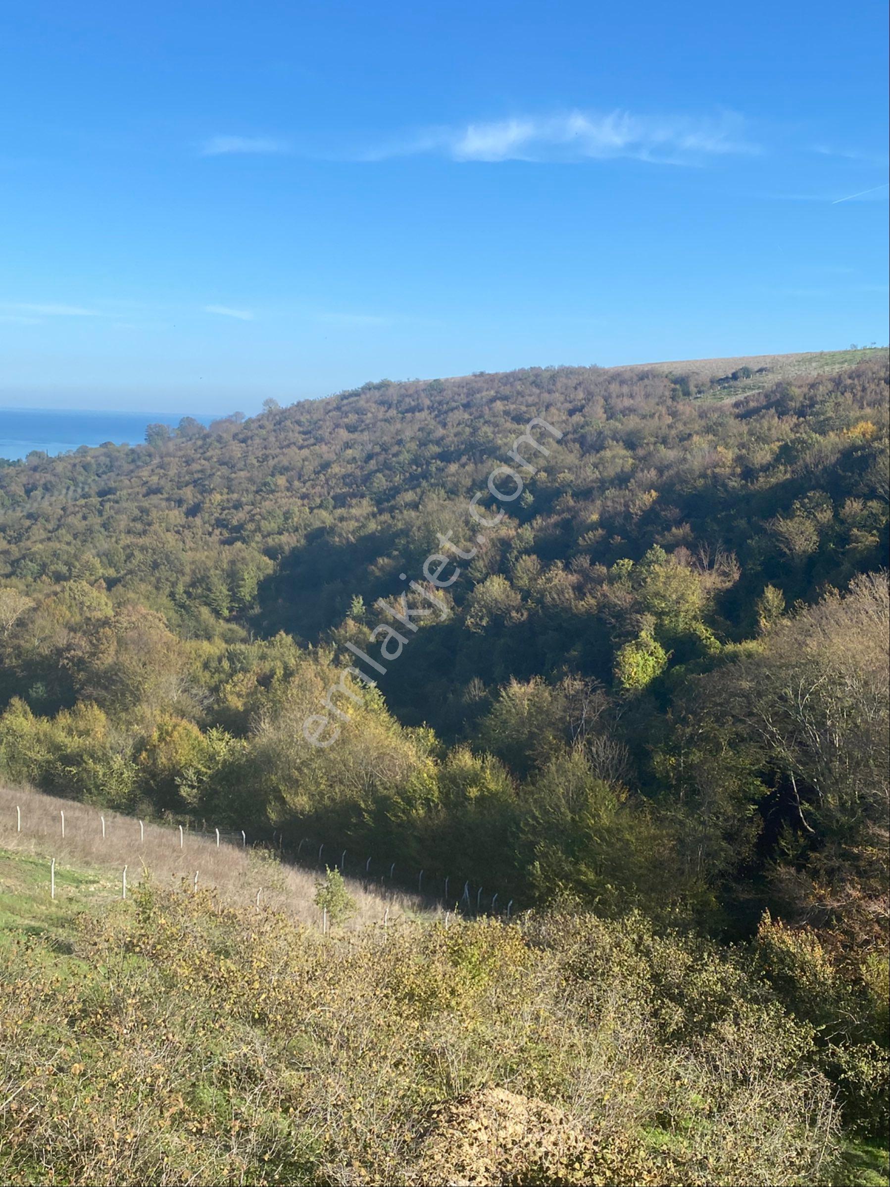 Mavi Atlas’tan Samsun 19 Mayıs Kertme’de Satılık Deniz Manzaralı Arsa - Görsel 13