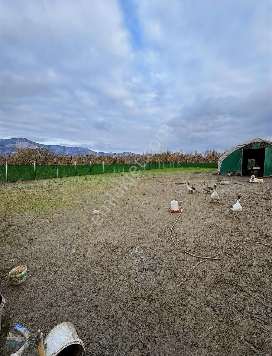 Hazır Kurulu Tavuk Çiftliği - Görsel 3