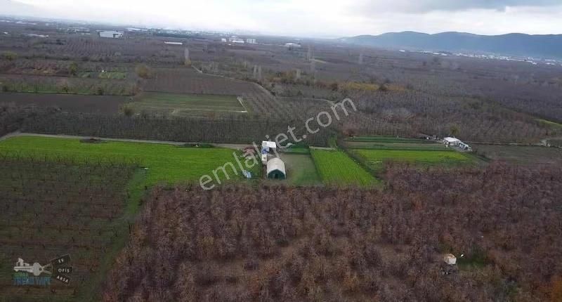 Hazır Kurulu Tavuk Çiftliği - Görsel 19