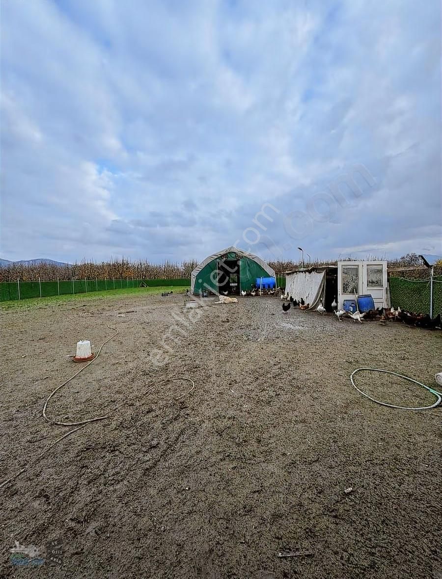 Hazır Kurulu Tavuk Çiftliği - Görsel 20