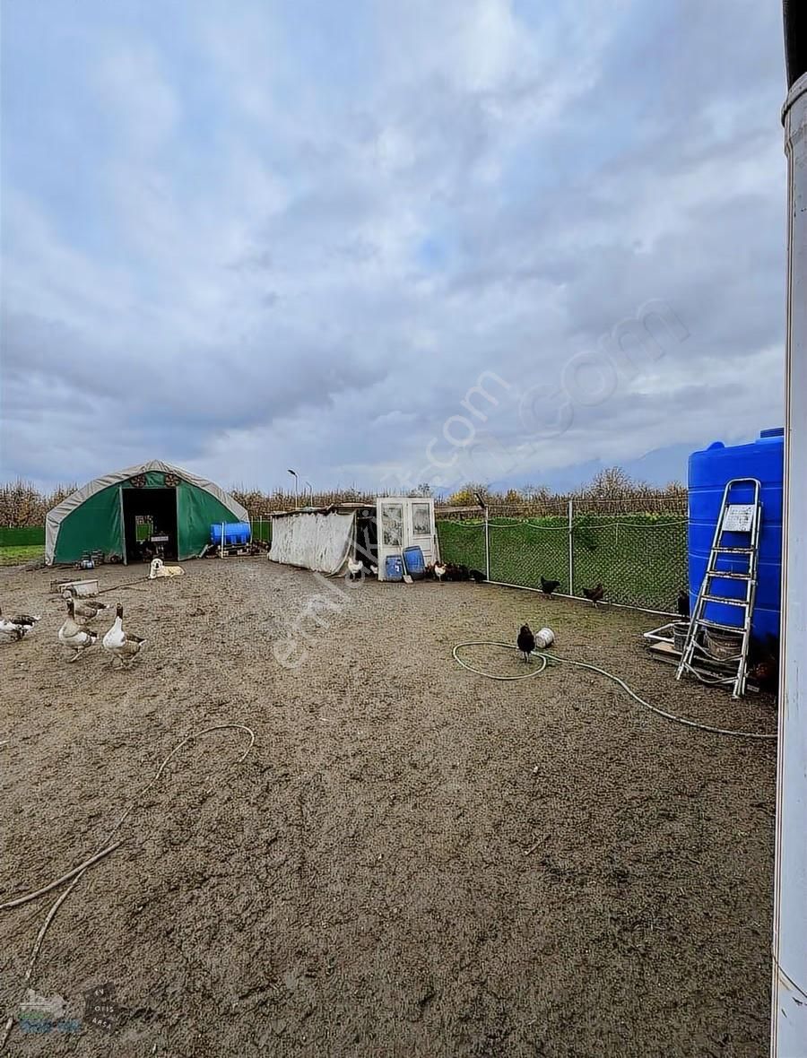 Hazır Kurulu Tavuk Çiftliği - Görsel 12