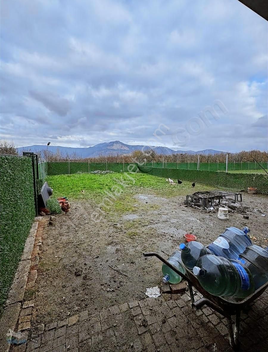 Hazır Kurulu Tavuk Çiftliği - Görsel 5