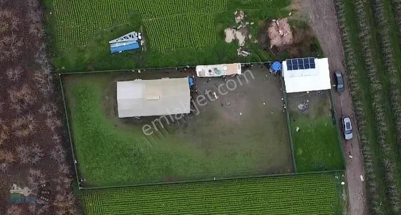 Hazır Kurulu Tavuk Çiftliği - Görsel 10