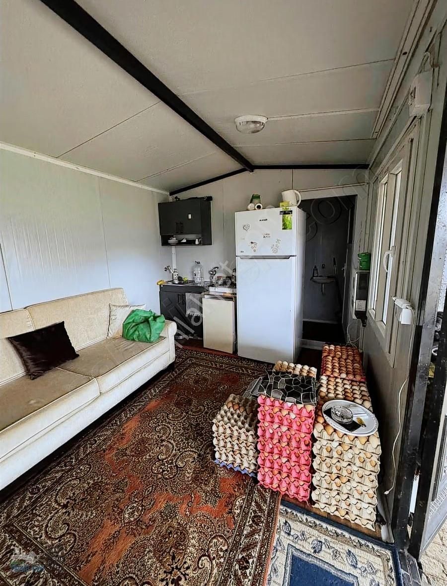 Hazır Kurulu Tavuk Çiftliği - Görsel 2