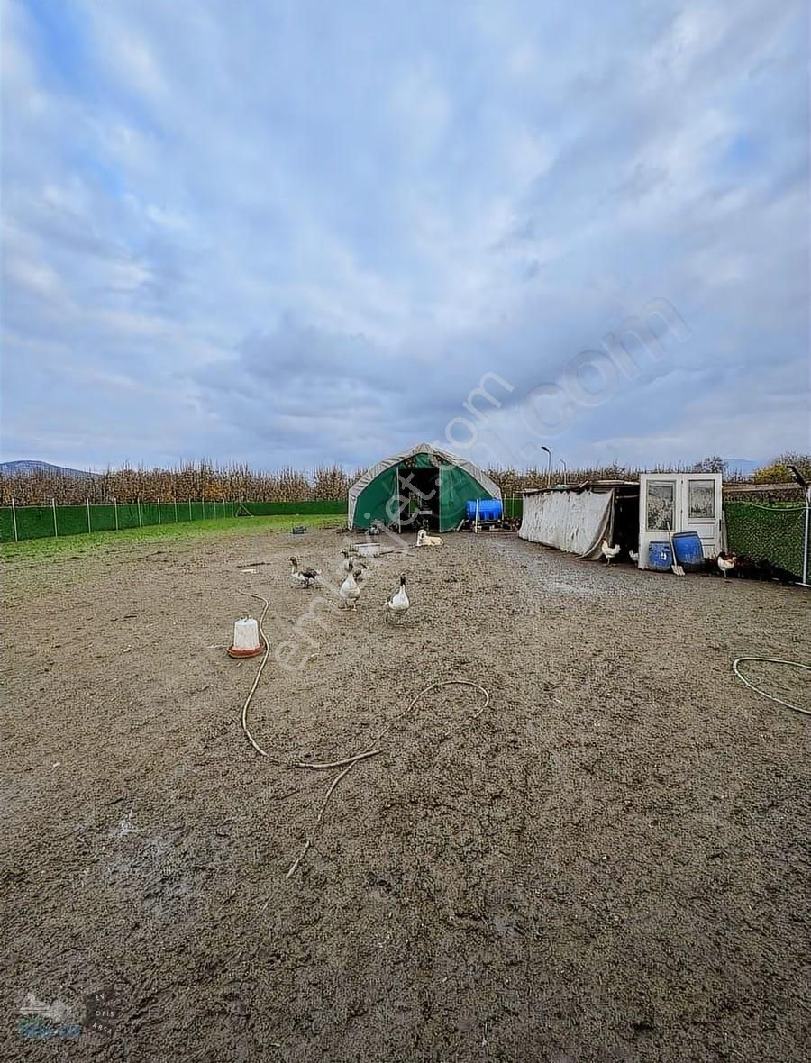 Hazır Kurulu Tavuk Çiftliği - Görsel 16