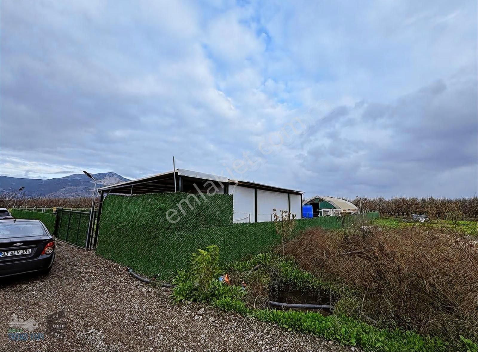 Hazır Kurulu Tavuk Çiftliği - Görsel 17