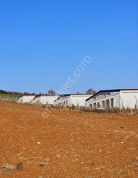 Yenişehir Osmaniyede Çiflik Bölgesinde 4.100 M² - Görsel 11