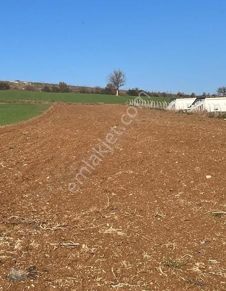 Yenişehir Osmaniyede Çiflik Bölgesinde 4.100 M² - Görsel 9