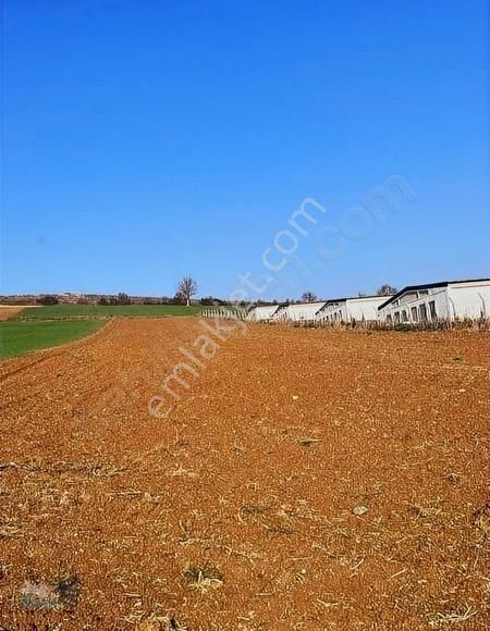 Yenişehir Osmaniyede Çiflik Bölgesinde 4.100 M² - Görsel 7