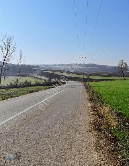 Yenişehir Osmaniyede Çiflik Bölgesinde 4.100 M² - Görsel 3