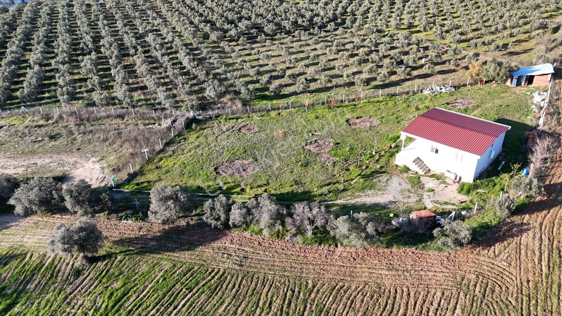 İzmir Menderes Bulgurcada 1510 M2 Hisse Tapulu Elektrik Su Arsalar - Görsel 14