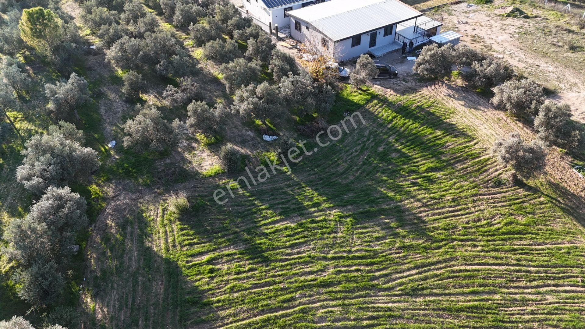 İzmir Menderes Bulgurcada 1510 M2 Hisse Tapulu Elektrik Su Arsalar - Görsel 18