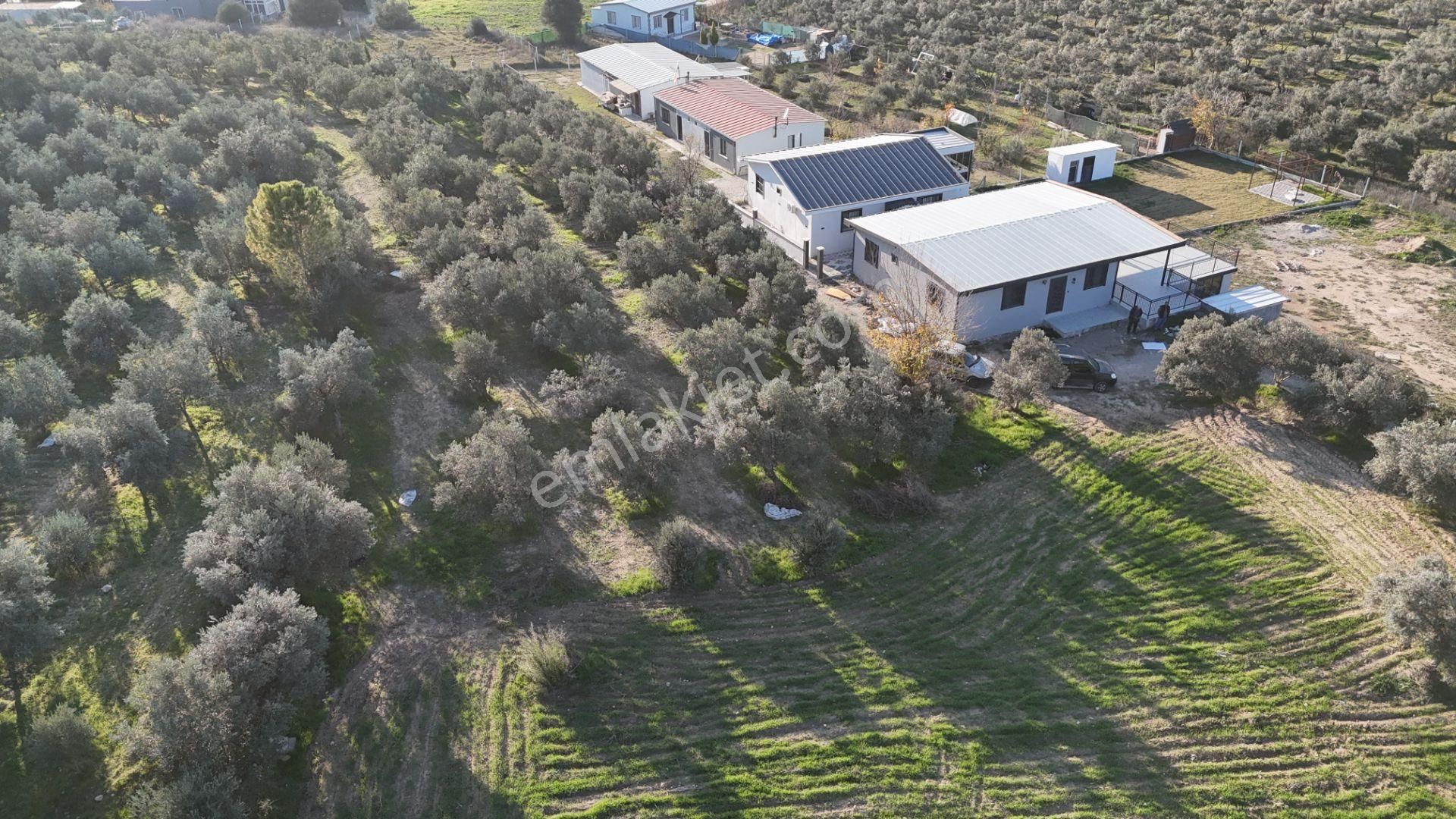 İzmir Menderes Bulgurcada 1510 M2 Hisse Tapulu Elektrik Su Arsalar - Görsel 20