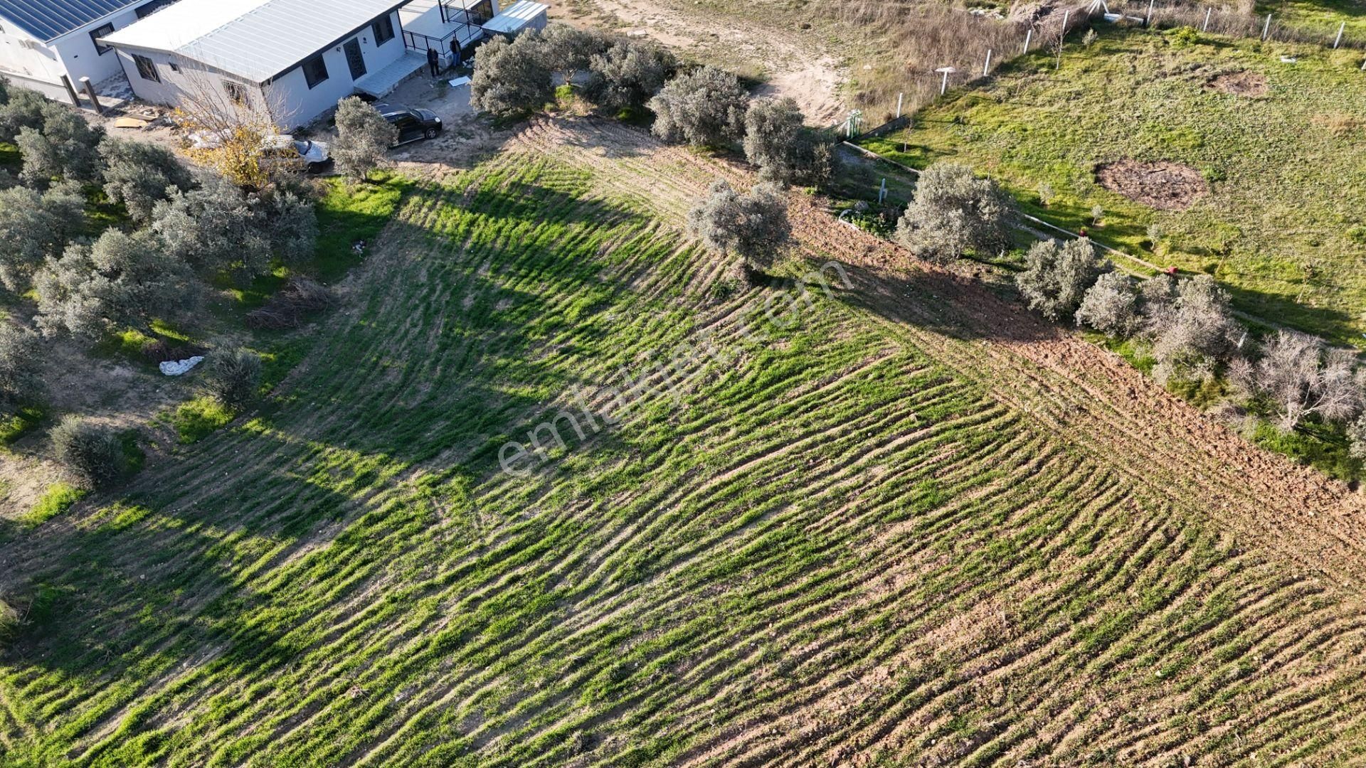 İzmir Menderes Bulgurcada 1510 M2 Hisse Tapulu Elektrik Su Arsalar - Görsel 24