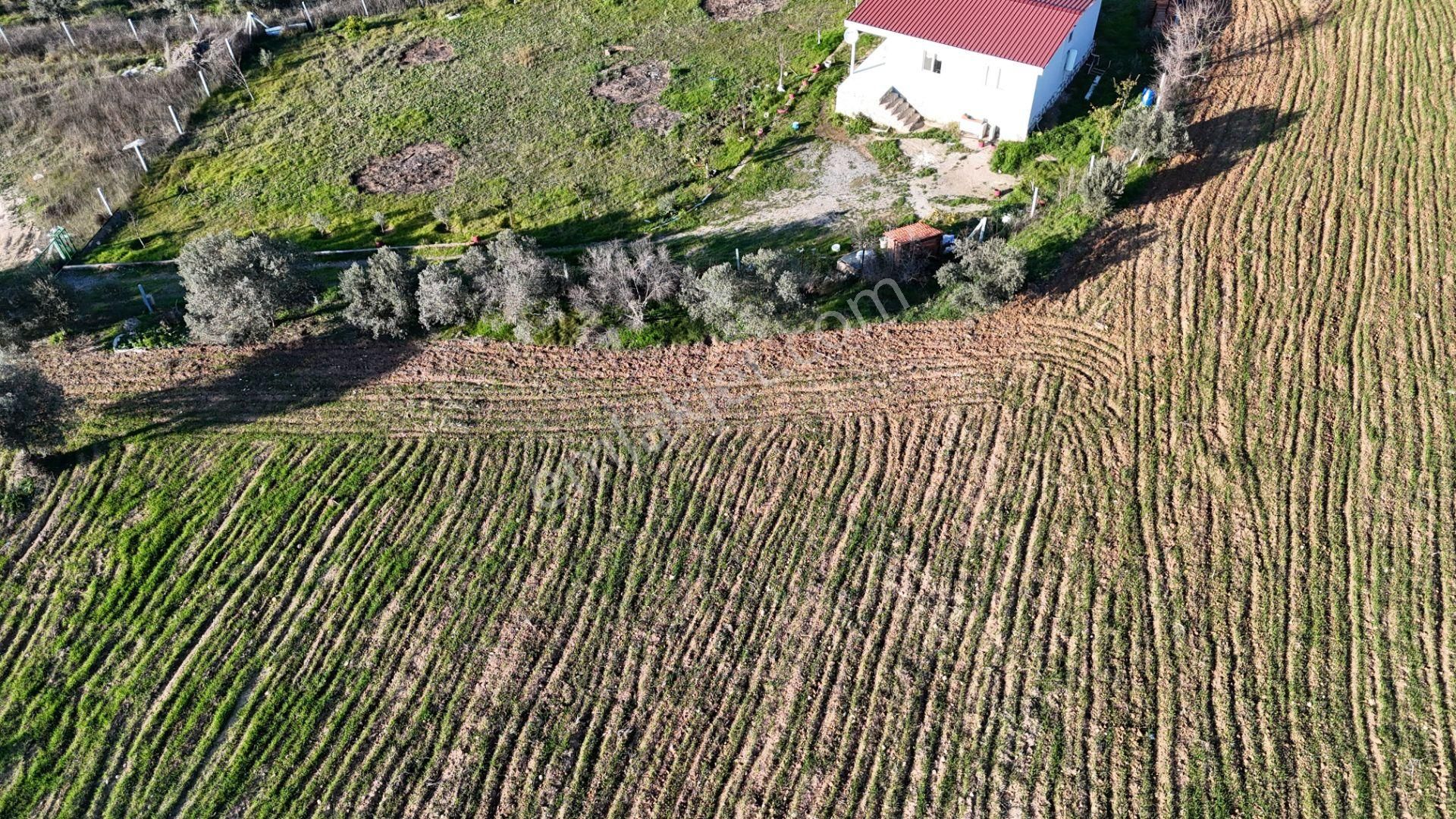 İzmir Menderes Bulgurcada 1510 M2 Hisse Tapulu Elektrik Su Arsalar - Görsel 27
