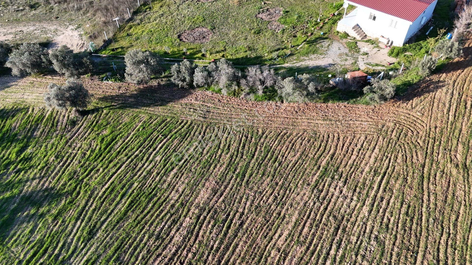 İzmir Menderes Bulgurcada 1510 M2 Hisse Tapulu Elektrik Su Arsalar - Görsel 16