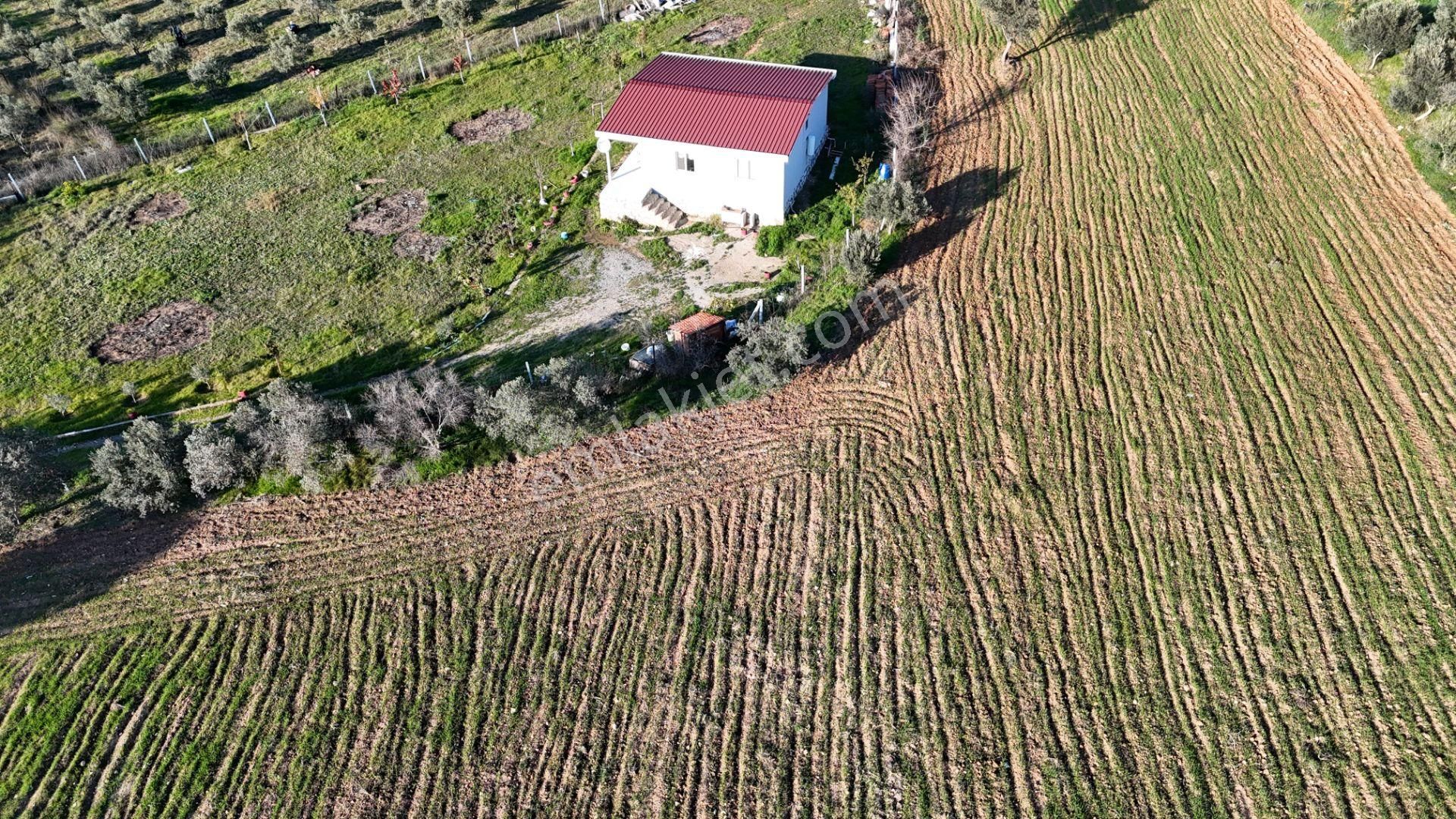 İzmir Menderes Bulgurcada 1510 M2 Hisse Tapulu Elektrik Su Arsalar - Görsel 33