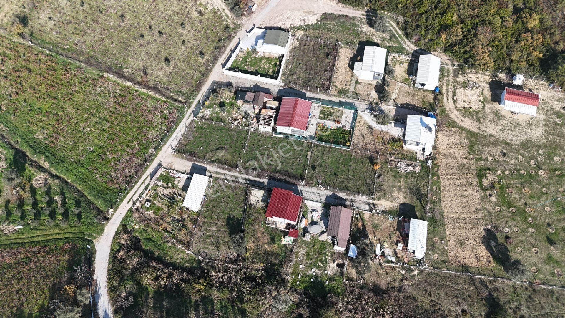 İzmir Menderes Çatalcada Elektrik Sulu Tapudan Satışlı Alt-sat Gelir Bahçeler - Görsel 14