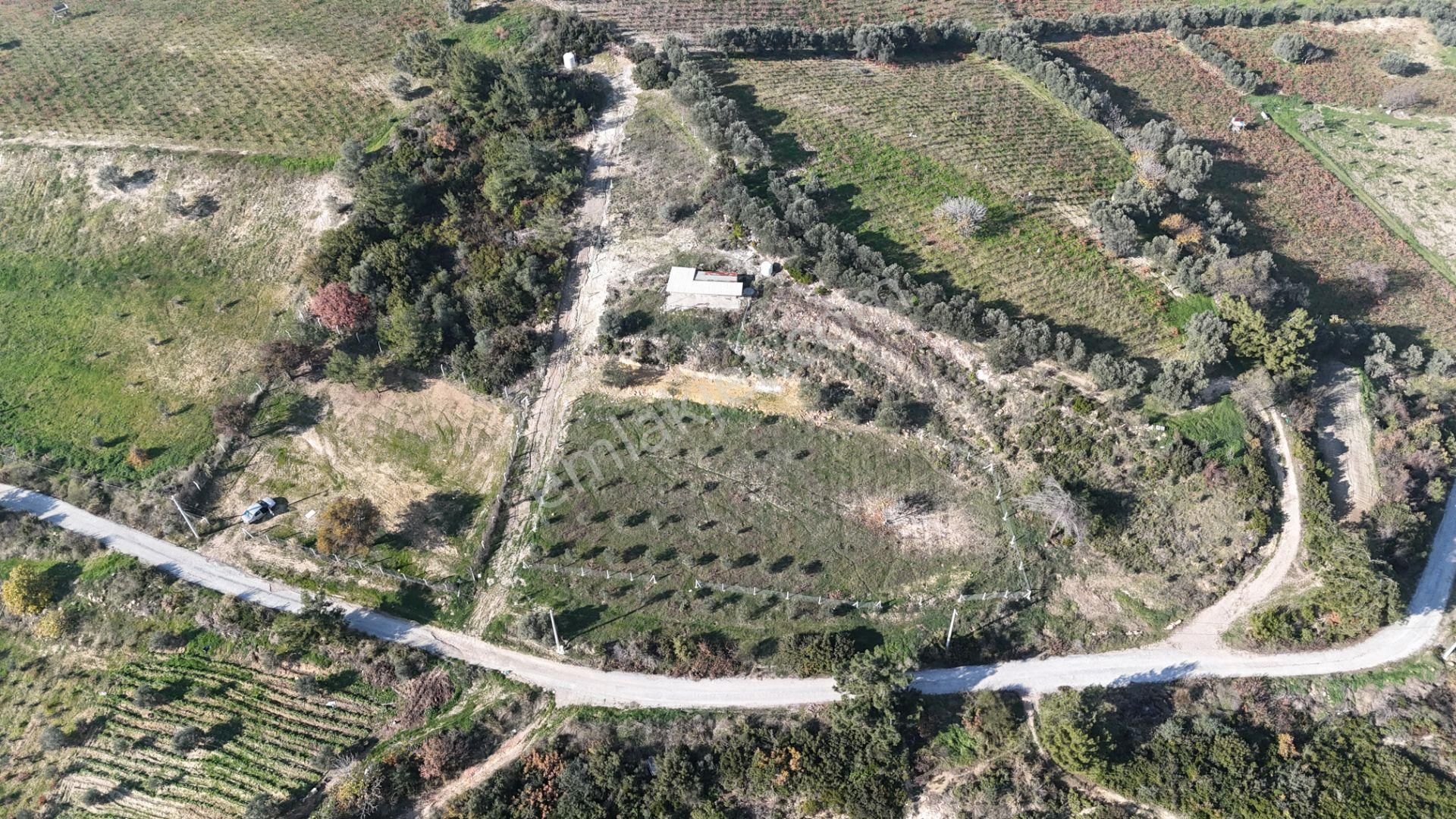 İzmir Menderes Çatalcada Elektrik Sulu Tapudan Satışlı Alt-sat Gelir Bahçeler - Görsel 32