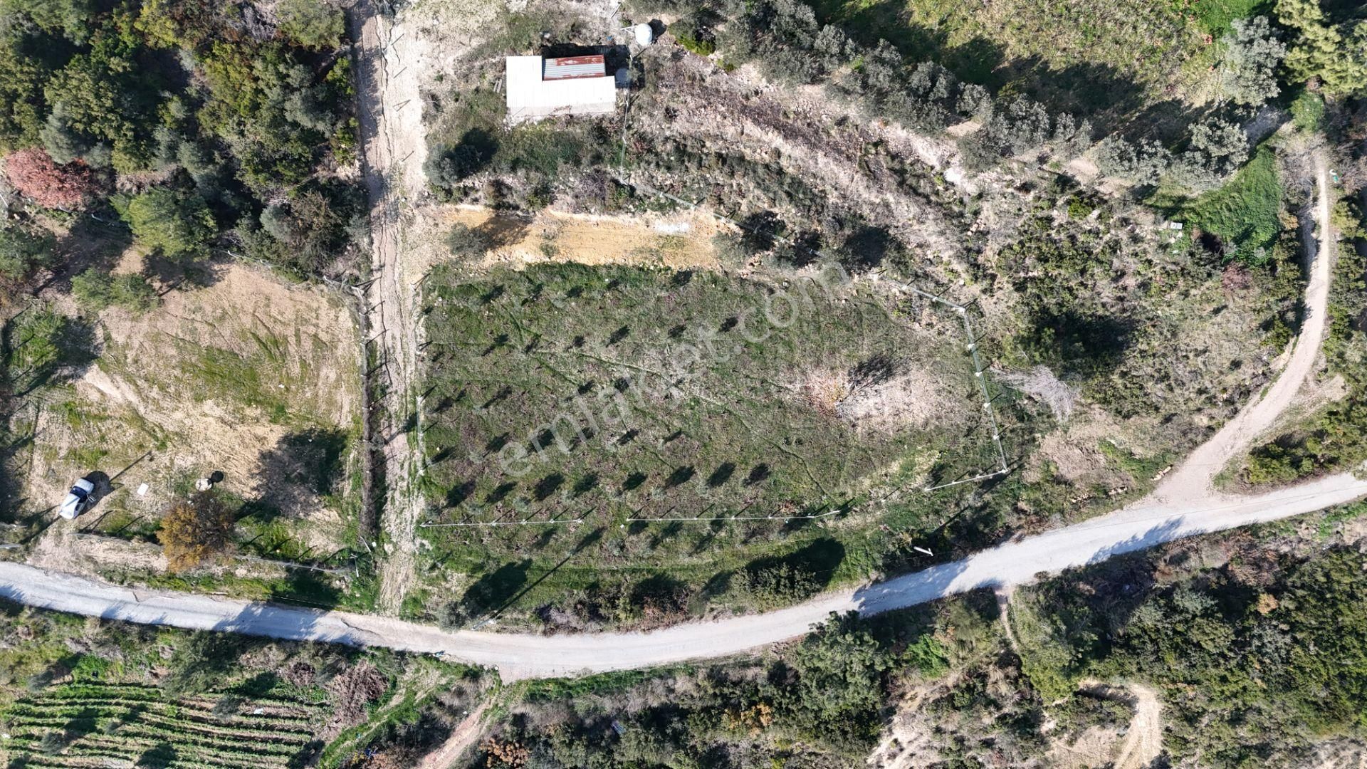 İzmir Menderes Çatalcada Elektrik Sulu Tapudan Satışlı Alt-sat Gelir Bahçeler - Görsel 12