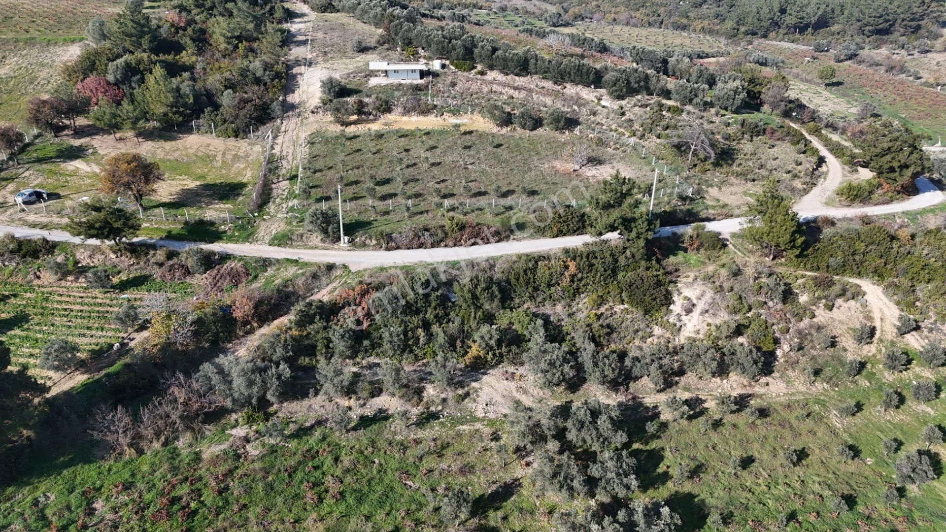 İzmir Menderes Çatalcada Elektrik Sulu Tapudan Satışlı Alt-sat Gelir Bahçeler - Görsel 10