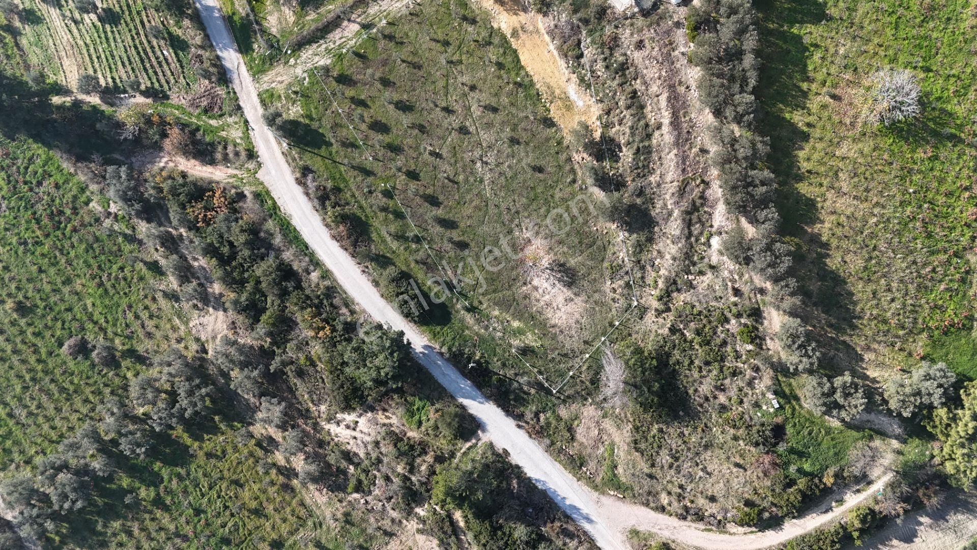 İzmir Menderes Çatalcada Elektrik Sulu Tapudan Satışlı Alt-sat Gelir Bahçeler - Görsel 18