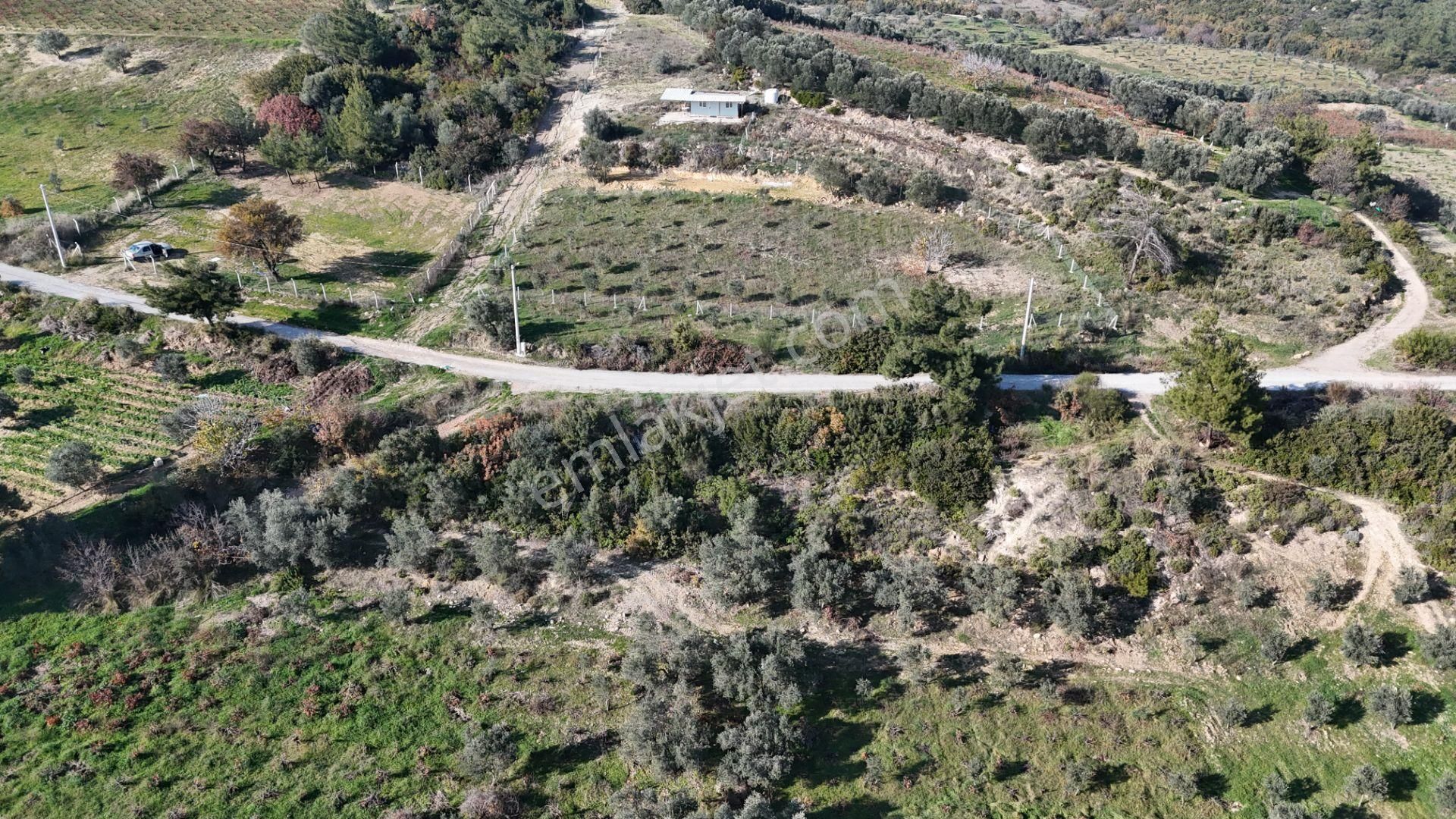 İzmir Menderes Çatalcada Elektrik Sulu Tapudan Satışlı Alt-sat Gelir Bahçeler - Görsel 7