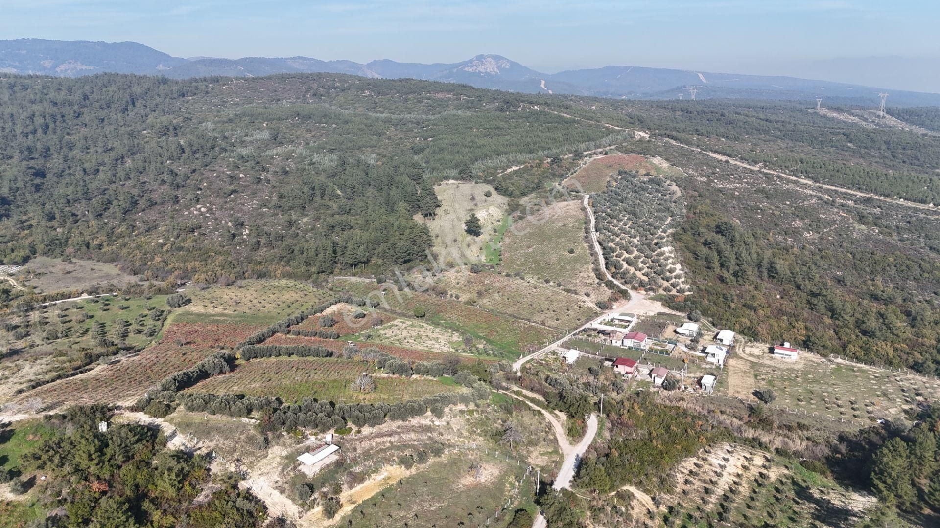 İzmir Menderes Çatalcada Elektrik Sulu Tapudan Satışlı Alt-sat Gelir Bahçeler - Görsel 6