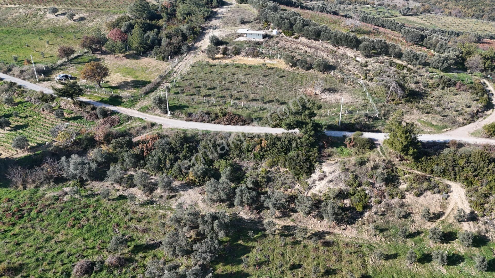 İzmir Menderes Çatalcada Elektrik Sulu Tapudan Satışlı Alt-sat Gelir Bahçeler - Görsel 22