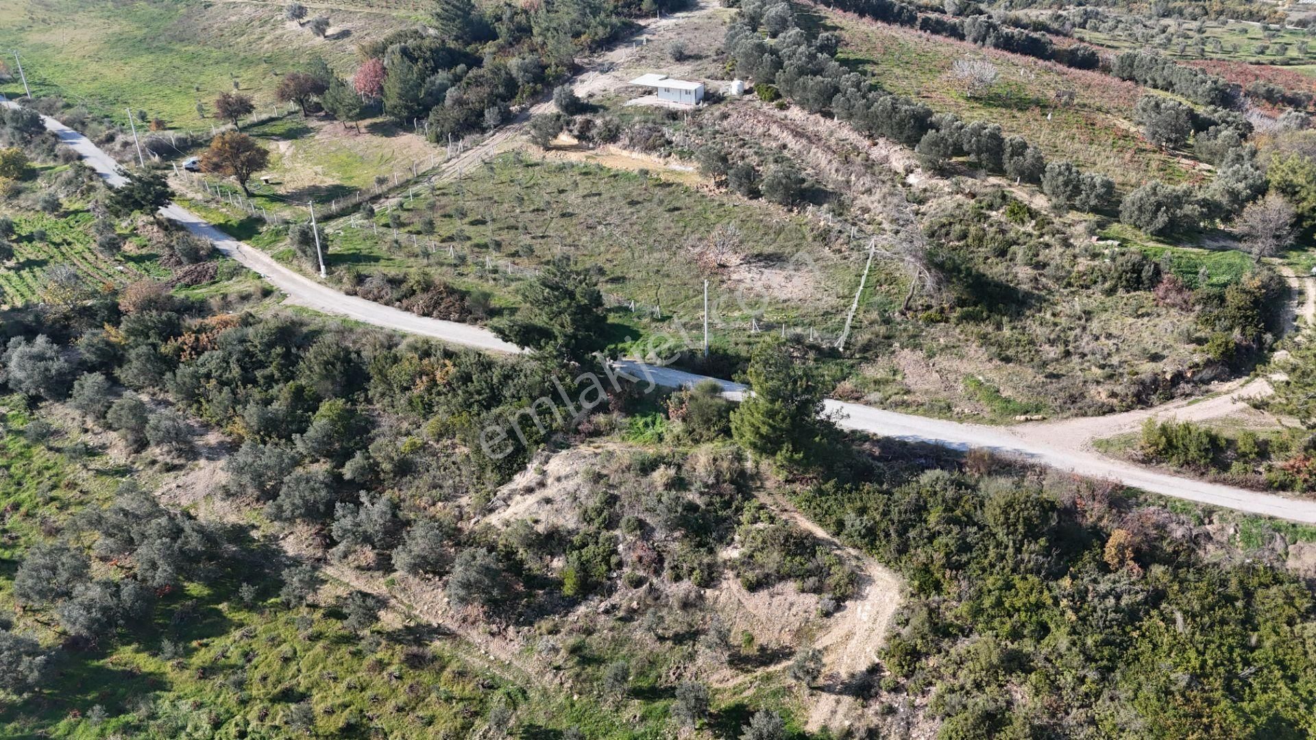 İzmir Menderes Çatalcada Elektrik Sulu Tapudan Satışlı Alt-sat Gelir Bahçeler - Görsel 30