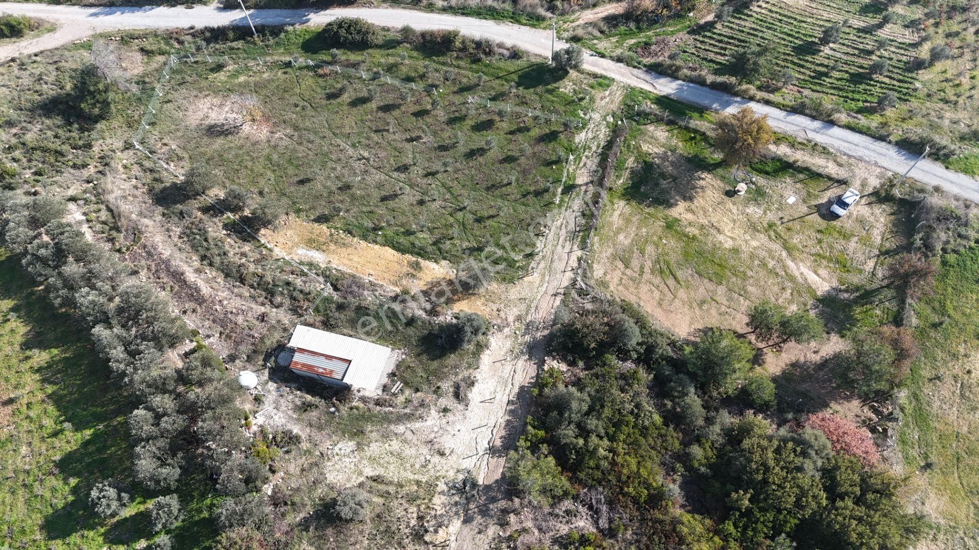 İzmir Menderes Çatalcada Elektrik Sulu Tapudan Satışlı Alt-sat Gelir Bahçeler - Görsel 8