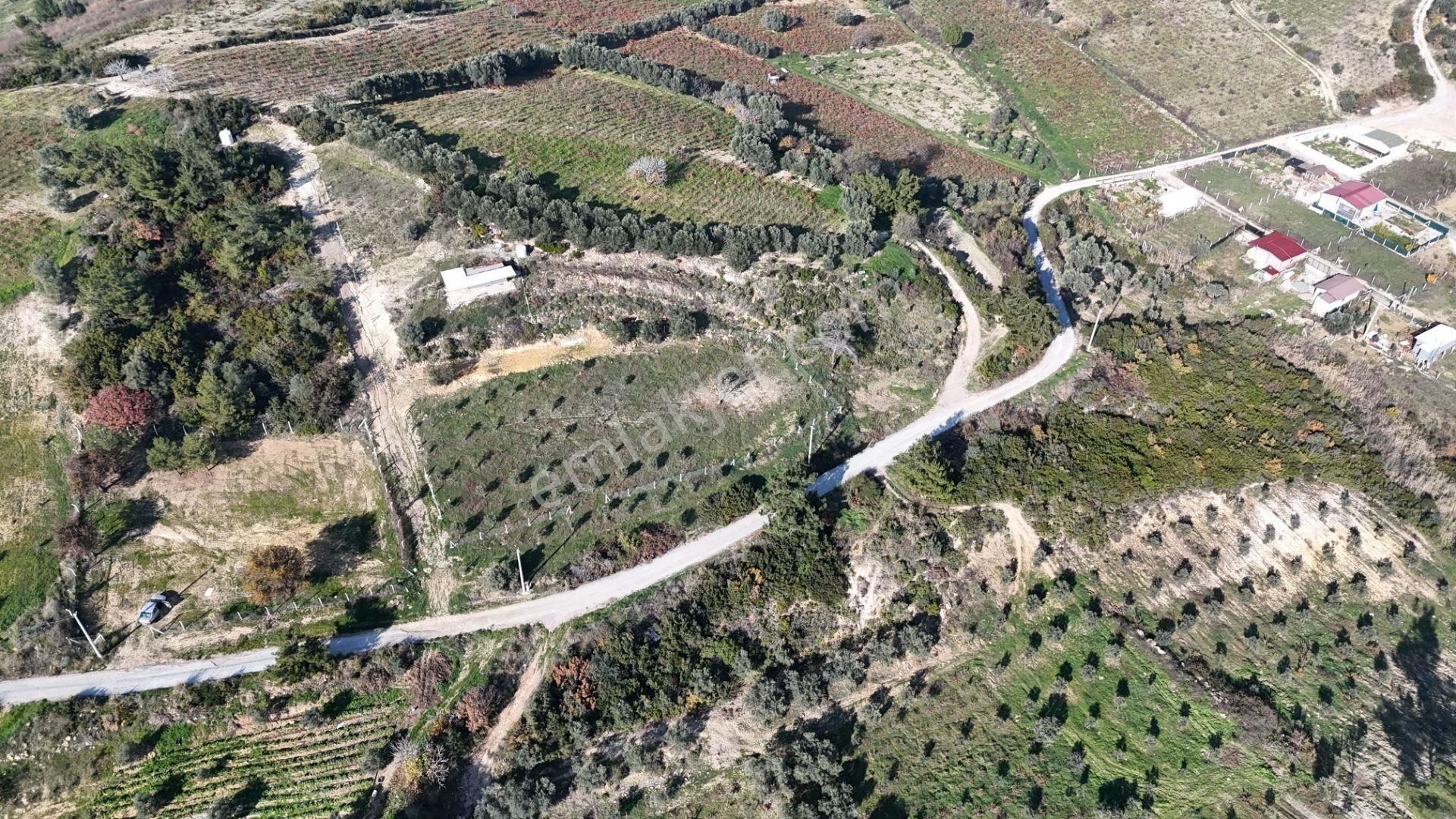 İzmir Menderes Çatalcada Elektrik Sulu Tapudan Satışlı Alt-sat Gelir Bahçeler - Görsel 15