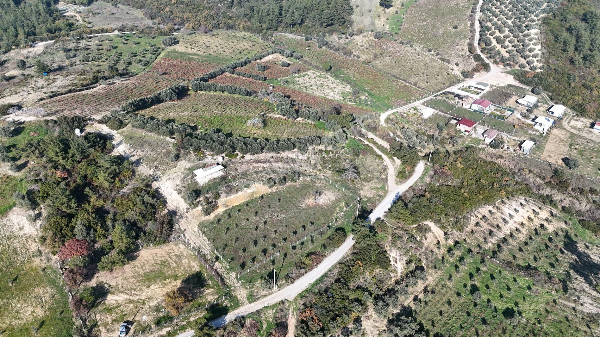 İzmir Menderes Çatalcada Elektrik Sulu Tapudan Satışlı Alt-sat Gelir Bahçeler - Görsel 9