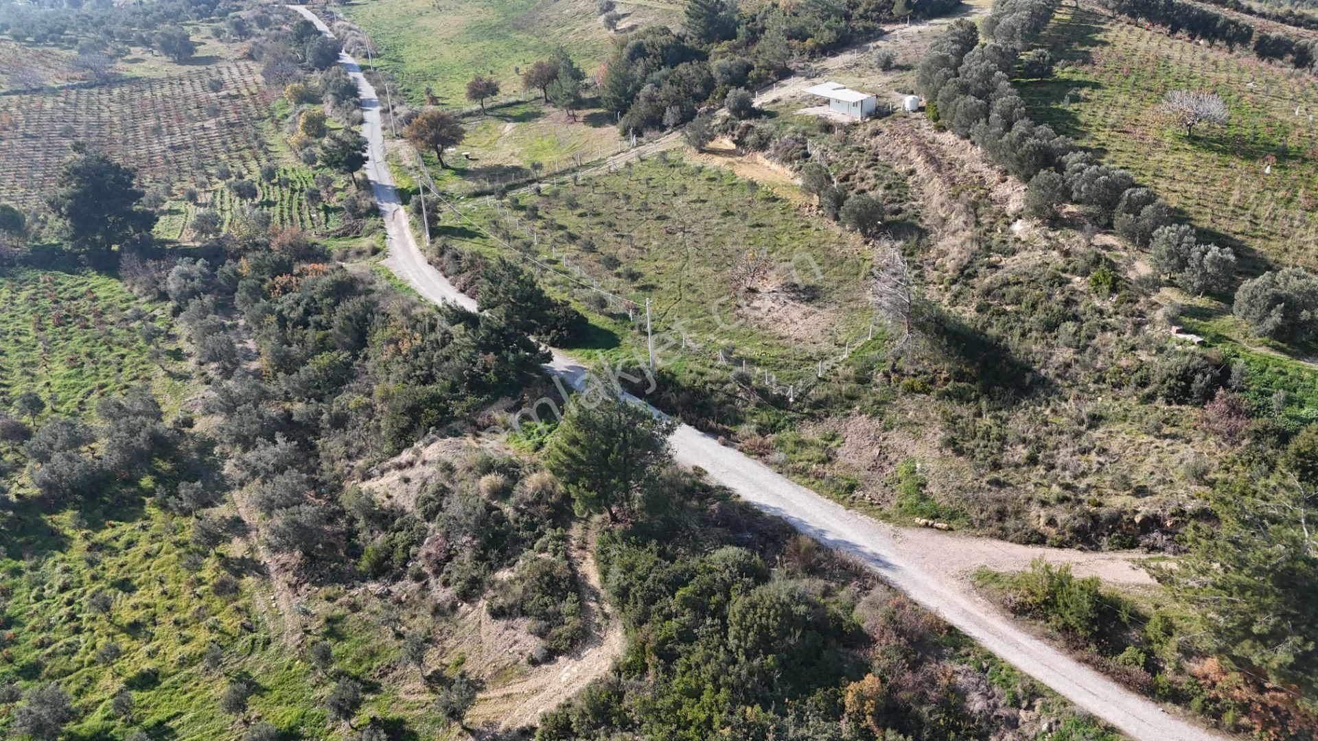 İzmir Menderes Çatalcada Elektrik Sulu Tapudan Satışlı Alt-sat Gelir Bahçeler - Görsel 20