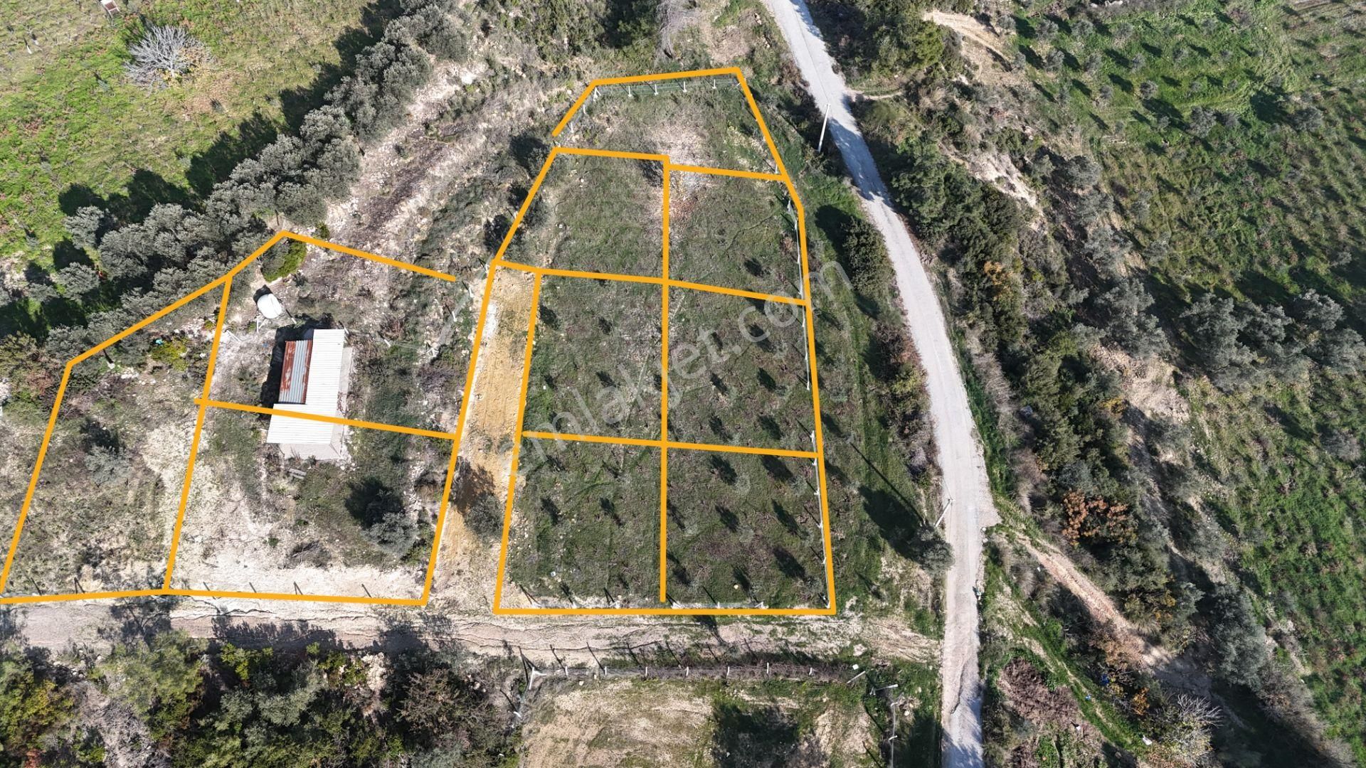 İzmir Menderes Çatalcada Elektrik Sulu Tapudan Satışlı Alt-sat Gelir Bahçeler - Görsel 4