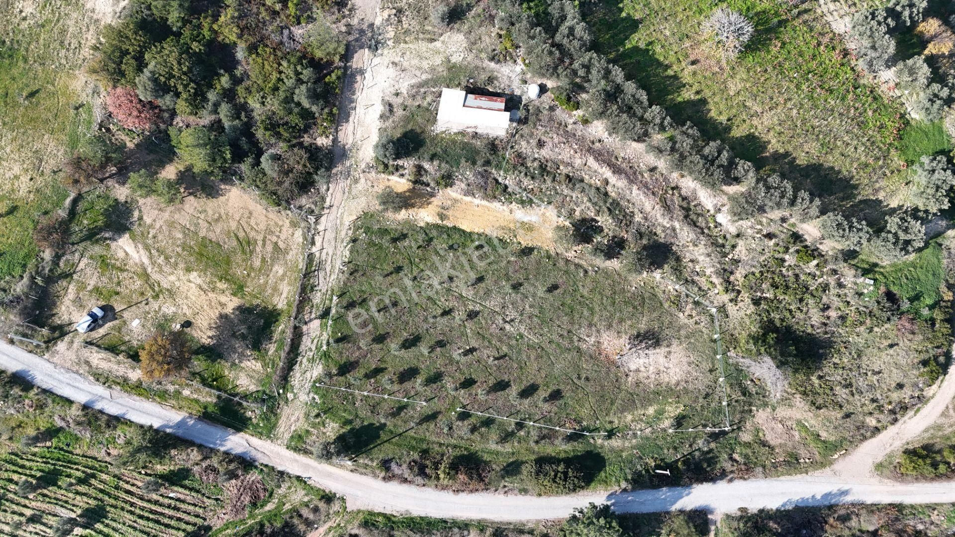 İzmir Menderes Çatalcada Elektrik Sulu Tapudan Satışlı Alt-sat Gelir Bahçeler - Görsel 27