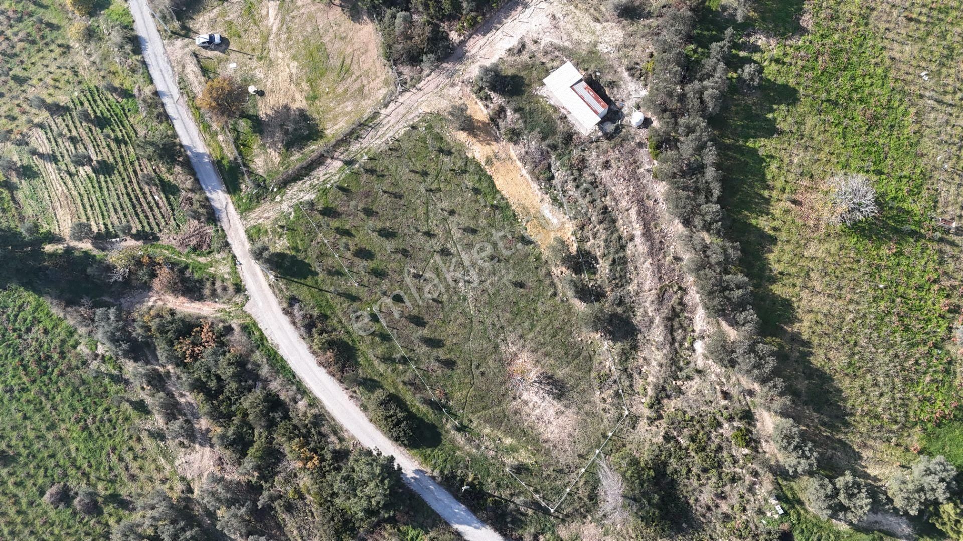 İzmir Menderes Çatalcada Elektrik Sulu Tapudan Satışlı Alt-sat Gelir Bahçeler - Görsel 16