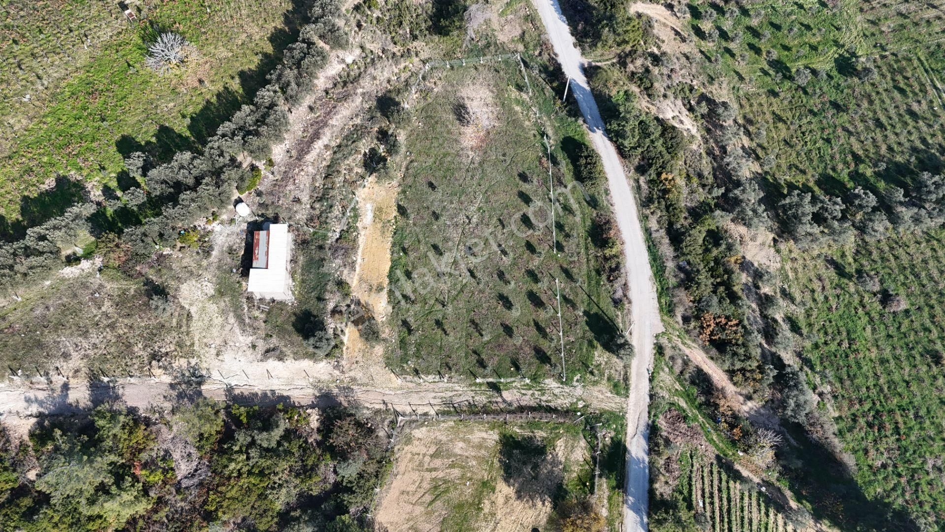 İzmir Menderes Çatalcada Elektrik Sulu Tapudan Satışlı Alt-sat Gelir Bahçeler - Görsel 28