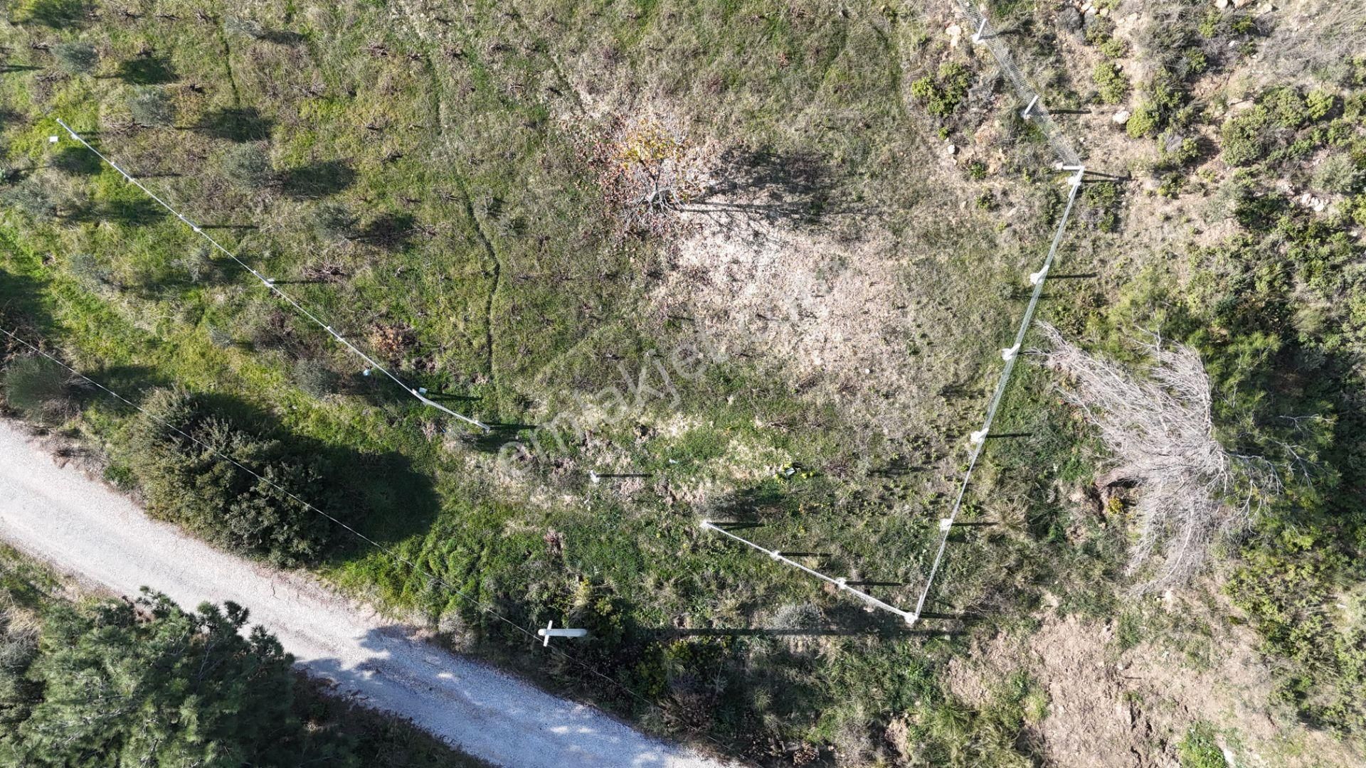 İzmir Menderes Çatalcada Elektrik Sulu Tapudan Satışlı Alt-sat Gelir Bahçeler - Görsel 31