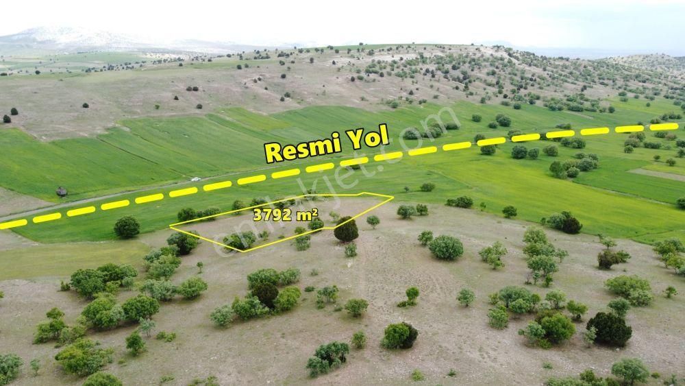 Konya / Meram / Kilistra Ormana Cephe 3.792 M² Müstakil Tapu Tarla - Görsel 3
