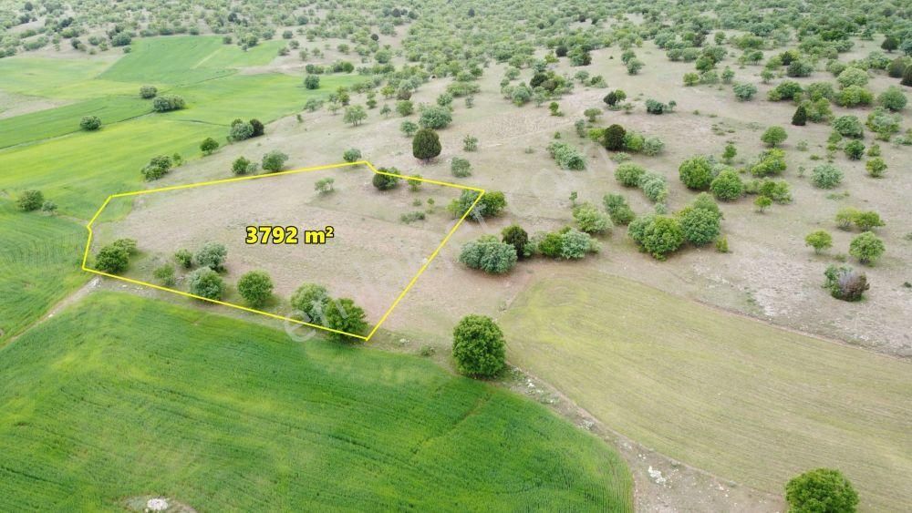 Konya / Meram / Kilistra Ormana Cephe 3.792 M² Müstakil Tapu Tarla - Görsel 5