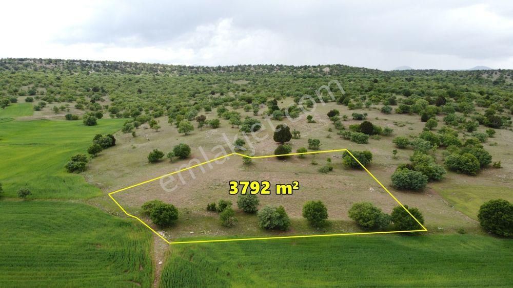 Konya / Meram / Kilistra Ormana Cephe 3.792 M² Müstakil Tapu Tarla - Görsel 2