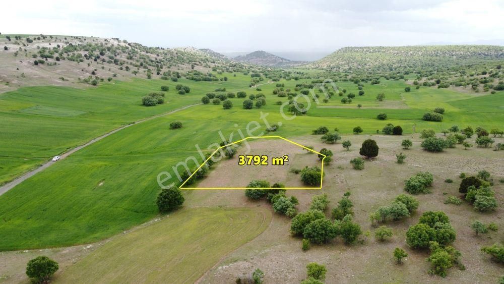 Konya / Meram / Kilistra Ormana Cephe 3.792 M² Müstakil Tapu Tarla - Görsel 6