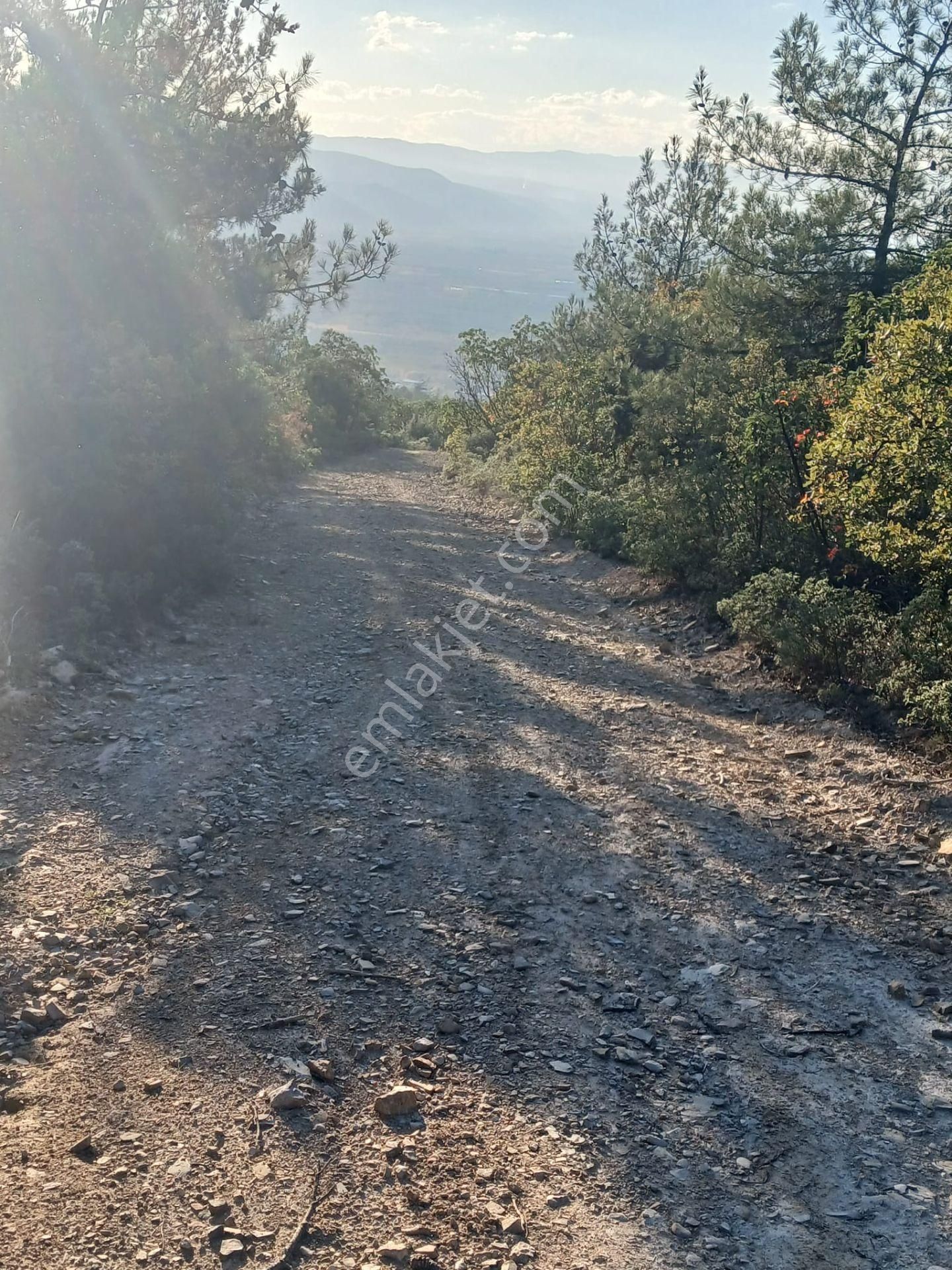 İznik Dereköy Satılık Tarla - Görsel 10