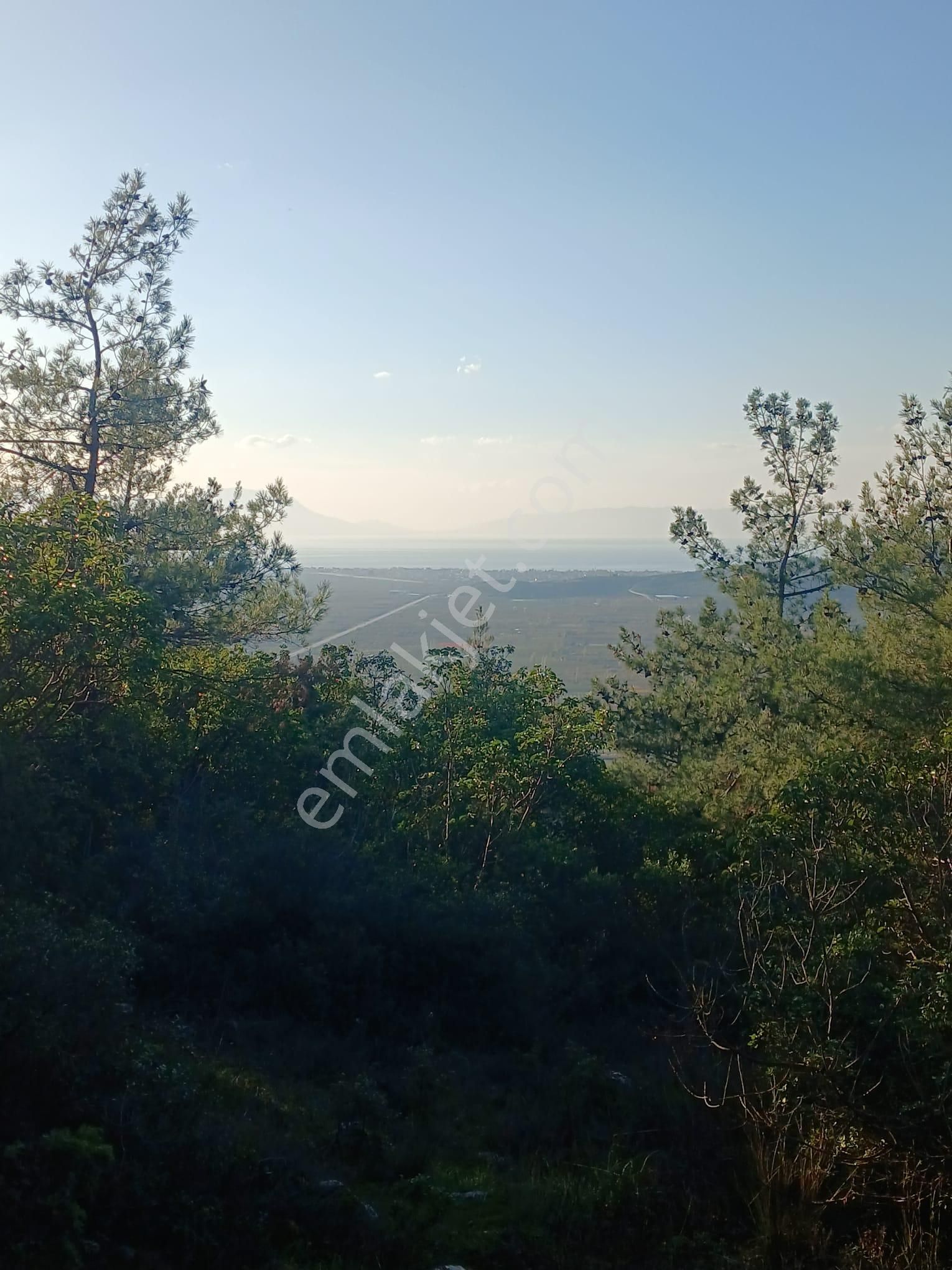 İznik Dereköy Satılık Tarla - Görsel 5