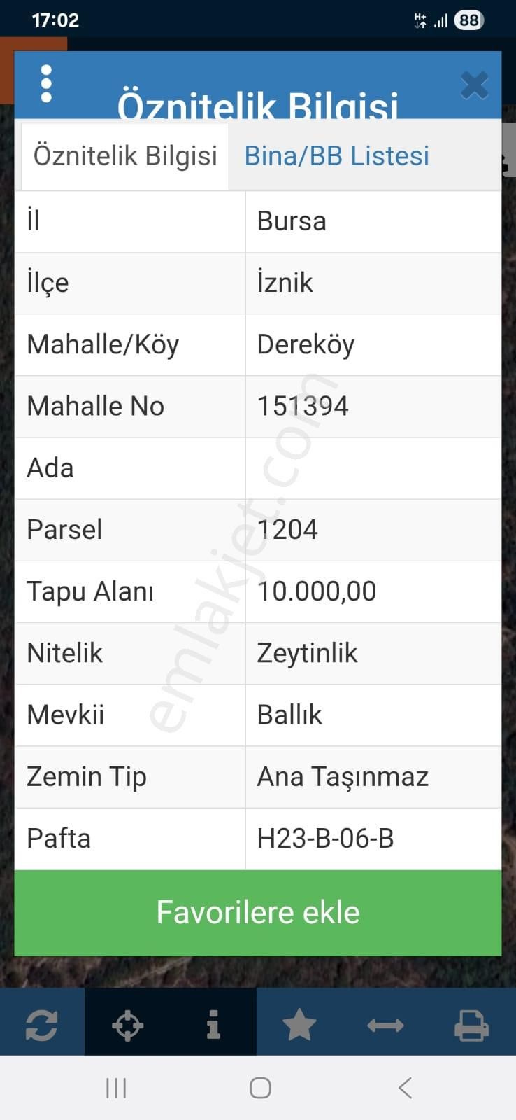 İznik Dereköyde 10 Dönüm Zeytinlik - Görsel 3