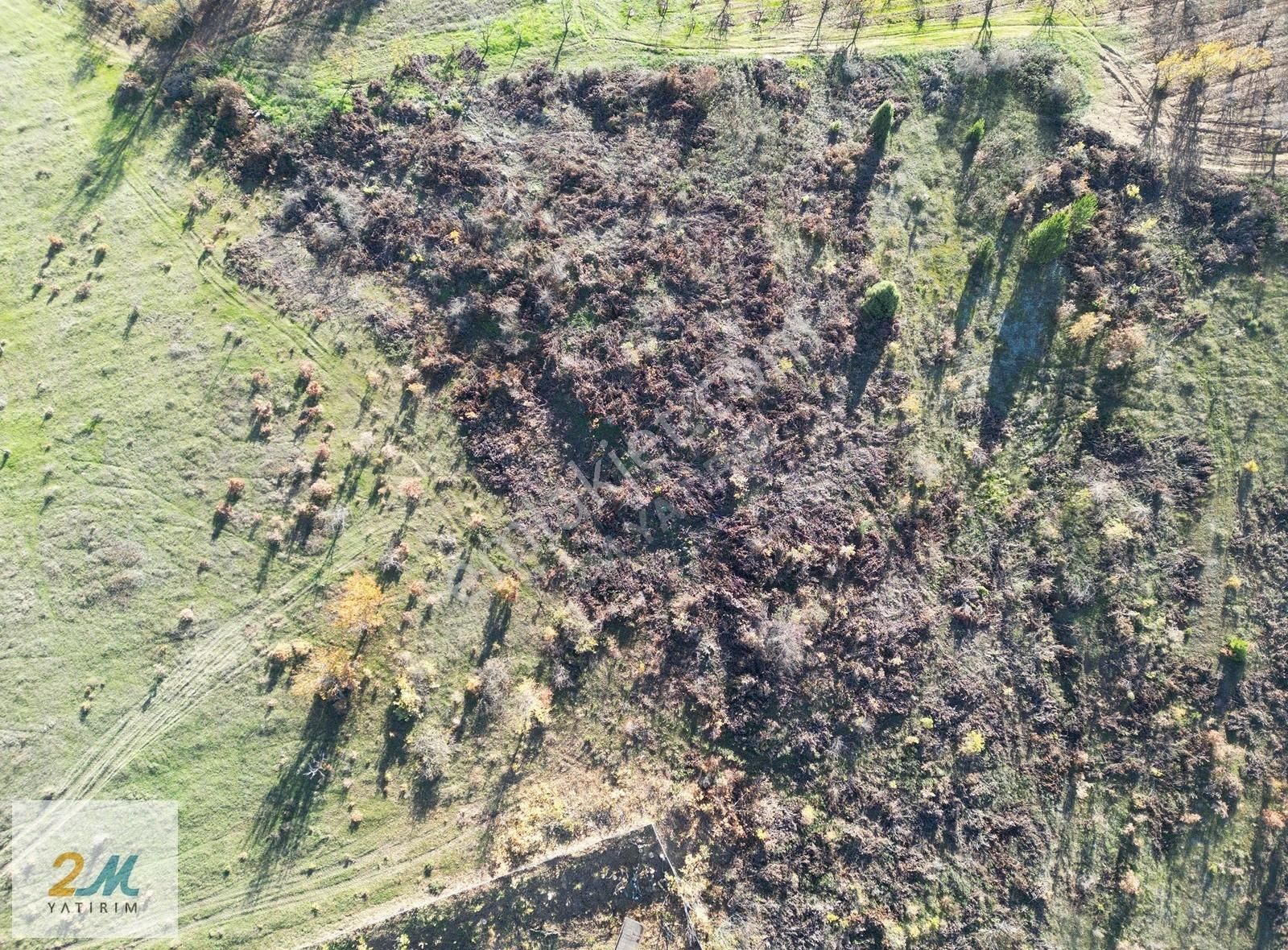 2m Yatırım'dan İznik Yörükler Köyünde Zirvede Satılık Tarla - Görsel 20