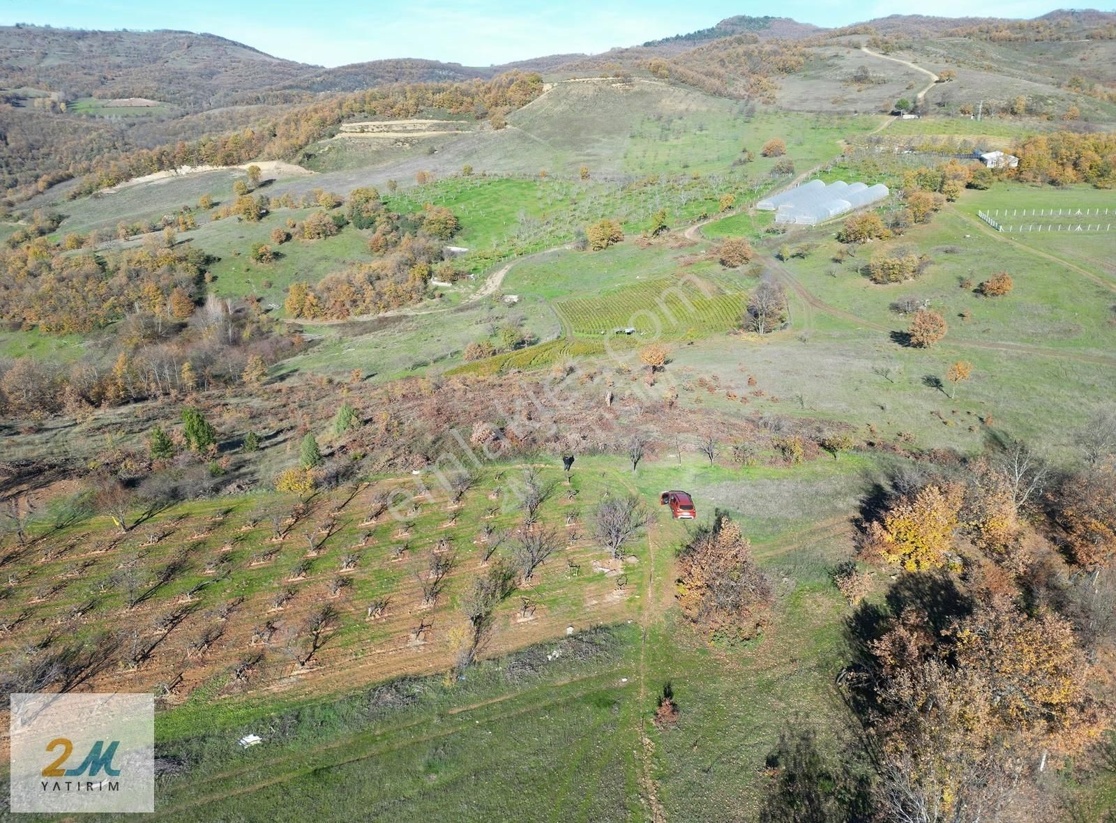 2m Yatırım'dan İznik Yörükler Köyünde Zirvede Satılık Tarla - Görsel 28
