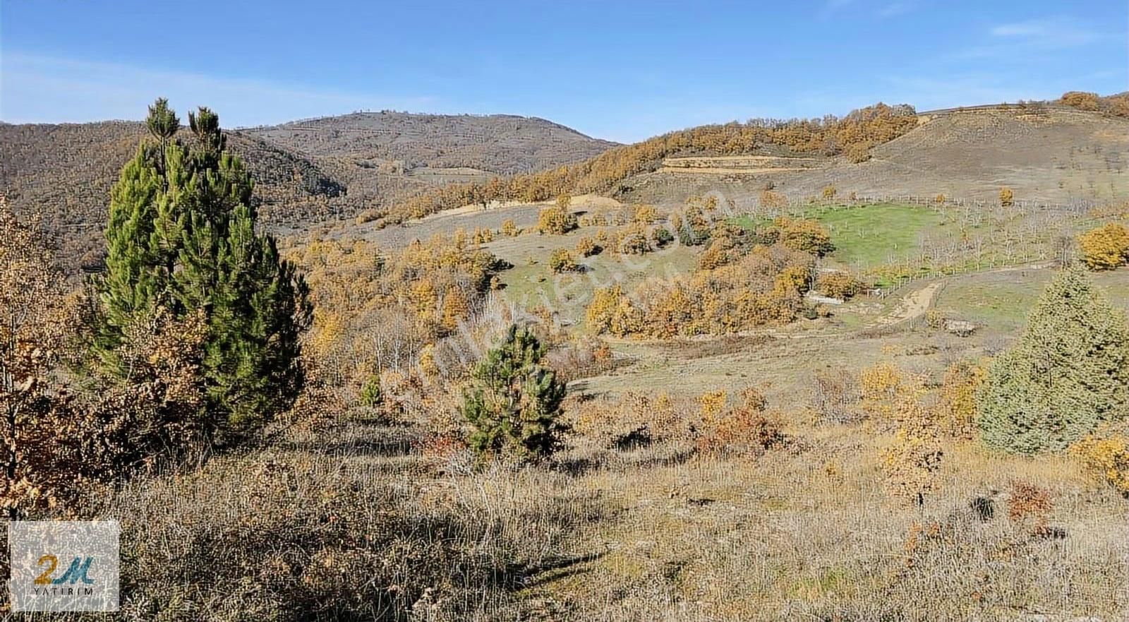 2m Yatırım'dan İznik Yörükler Köyünde Zirvede Satılık Tarla - Görsel 21